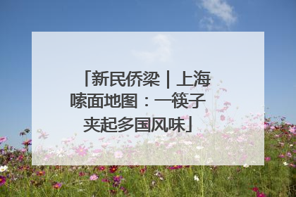 新民侨梁｜上海嗦面地图：一筷子夹起多国风味