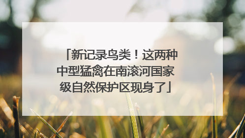 新记录鸟类！这两种中型猛禽在南滚河国家级自然保护区现身了