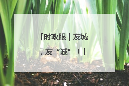 时政眼｜友城，友“诚”！