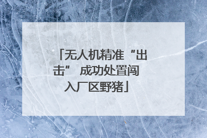 无人机精准“出击” 成功处置闯入厂区野猪