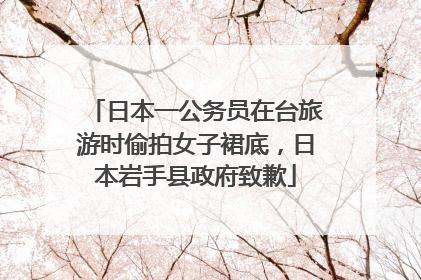 日本一公务员在台旅游时偷拍女子裙底，日本岩手县政府致歉
