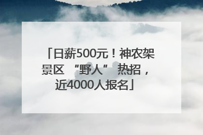 日薪500元！神农架景区 “野人” 热招，近4000人报名