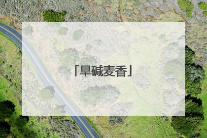 旱碱麦香