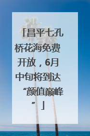昌平七孔桥花海免费开放，6月中旬将到达“颜值巅峰”
