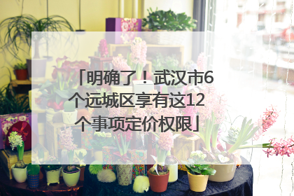明确了！武汉市6个远城区享有这12个事项定价权限