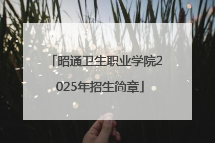 昭通卫生职业学院2025年招生简章