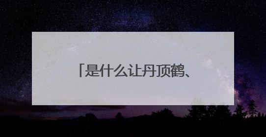 是什么让丹顶鹤、东方白鹳等珍稀鸟类纷纷在此落脚？