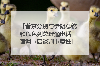 普京分别与伊朗总统和以色列总理通电话 强调重启谈判重要性