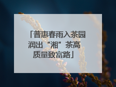 普惠春雨入茶园 润出“湘”茶高质量致富路