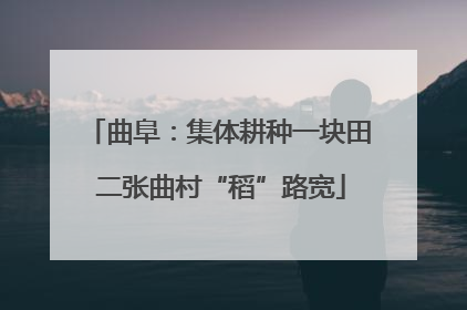 曲阜：集体耕种一块田 二张曲村“稻”路宽