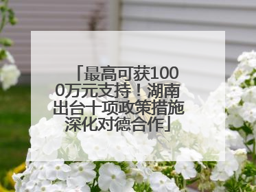最高可获1000万元支持！湖南出台十项政策措施深化对德合作