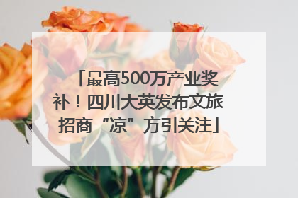 最高500万产业奖补！四川大英发布文旅招商“凉”方引关注