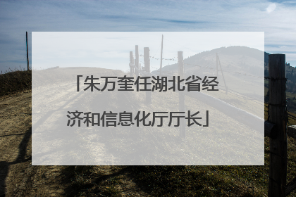 朱万奎任湖北省经济和信息化厅厅长