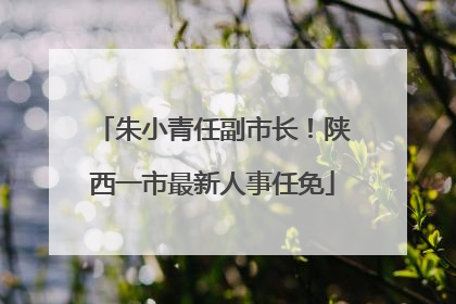 朱小青任副市长！陕西一市最新人事任免