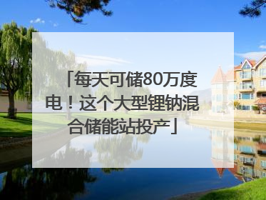 每天可储80万度电！这个大型锂钠混合储能站投产