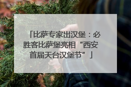 比萨专家出汉堡：必胜客比萨堡亮相“西安首届天台汉堡节”