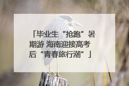 毕业生“抢跑”暑期游 海南迎接高考后“青春旅行潮”