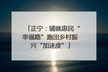 正宁：铺就惠民“幸福路”跑出乡村振兴“加速度”