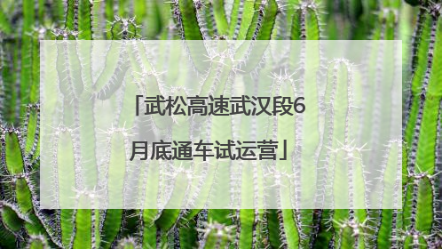 武松高速武汉段6月底通车试运营