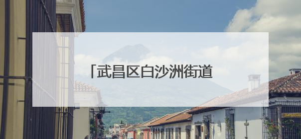 武昌区白沙洲街道：清理沿岸垃圾 “扮靓”长江母亲河