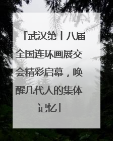 武汉第十八届全国连环画展交会精彩启幕，唤醒几代人的集体记忆