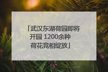 武汉东湖荷园即将开园 1200余种荷花竞相绽放