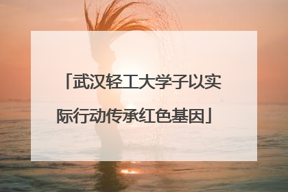 武汉轻工大学子以实际行动传承红色基因