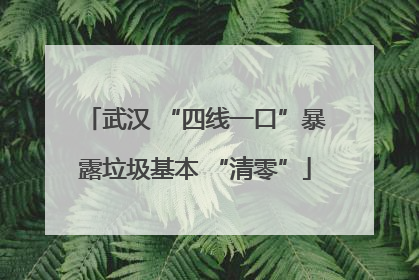 武汉 “四线一口”暴露垃圾基本 “清零”