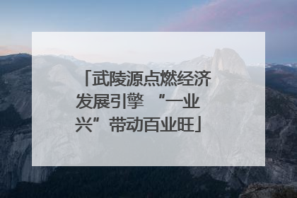 武陵源点燃经济发展引擎 “一业兴”带动百业旺