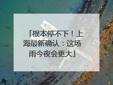 根本停不下！上海最新确认：这场雨今夜会更大