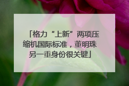 格力“上新”两项压缩机国际标准，董明珠另一重身份很关键