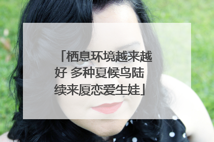 栖息环境越来越好 多种夏候鸟陆续来厦恋爱生娃