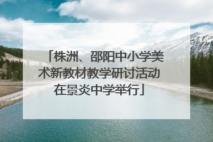 株洲、邵阳中小学美术新教材教学研讨活动在景炎中学举行