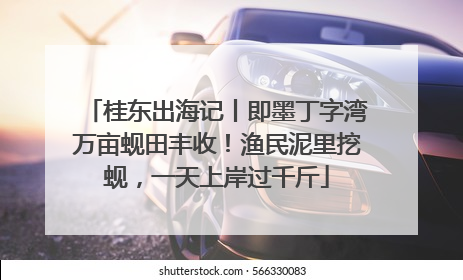 桂东出海记丨即墨丁字湾万亩蚬田丰收！渔民泥里挖蚬，一天上岸过千斤