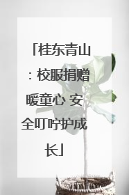 桂东青山：校服捐赠暖童心 安全叮咛护成长