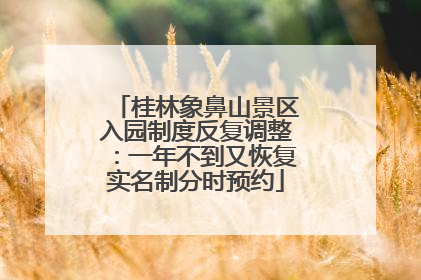 桂林象鼻山景区入园制度反复调整：一年不到又恢复实名制分时预约