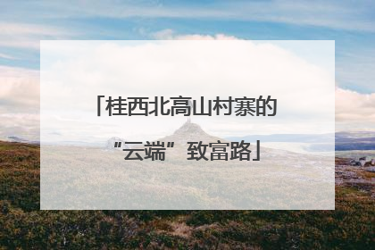 桂西北高山村寨的“云端”致富路
