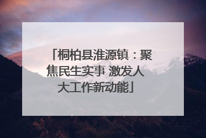 桐柏县淮源镇：聚焦民生实事 激发人大工作新动能