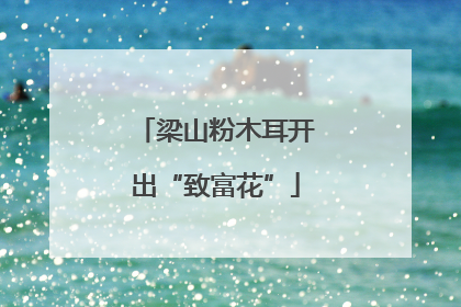 梁山粉木耳开出“致富花”