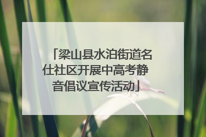 梁山县水泊街道名仕社区开展中高考静音倡议宣传活动