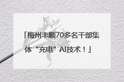 梅州丰顺70多名干部集体“充电”AI技术！