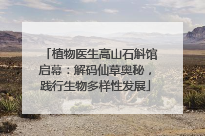 植物医生高山石斛馆启幕：解码仙草奥秘，践行生物多样性发展