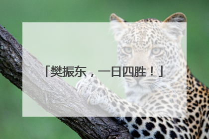 樊振东，一日四胜！