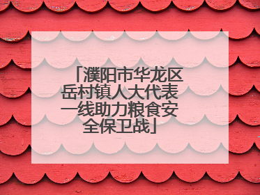濮阳市华龙区岳村镇人大代表一线助力粮食安全保卫战