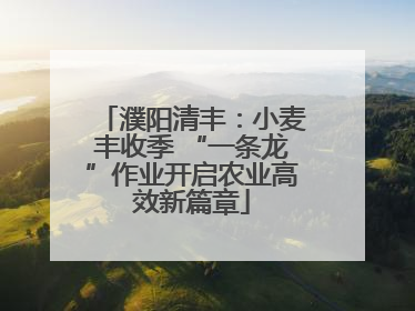 濮阳清丰：小麦丰收季 “一条龙”作业开启农业高效新篇章