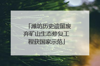 潍坊历史遗留废弃矿山生态修复工程获国家示范