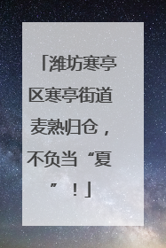 潍坊寒亭区寒亭街道麦熟归仓，不负当“夏”！