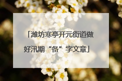 潍坊寒亭开元街道做好汛期“备”字文章