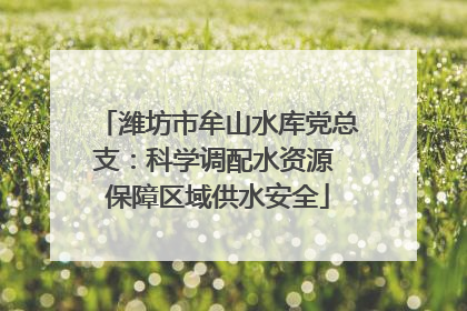 潍坊市牟山水库党总支：科学调配水资源 保障区域供水安全