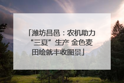 潍坊昌邑：农机助力“三夏”生产 金色麦田绘就丰收图景